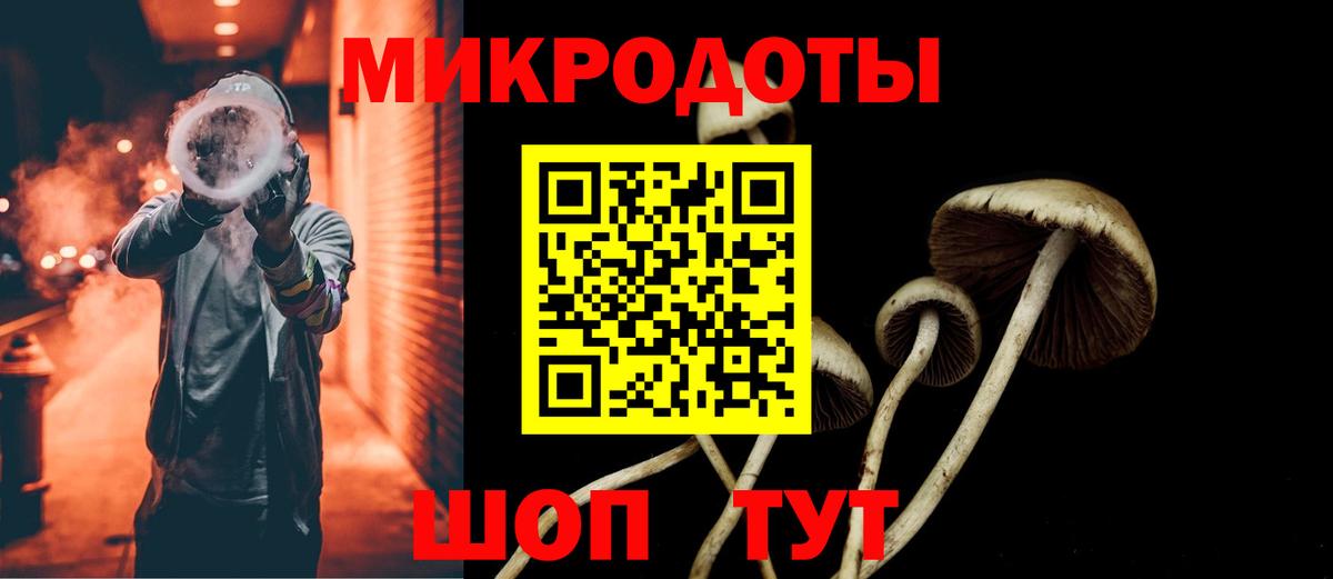 Псилоцибиновые грибы MAGIC MUSHROOMS  Вход с VPN  Новокубанск 
