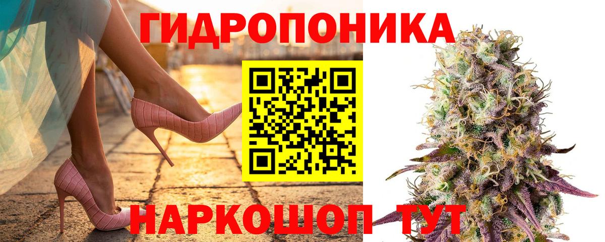 Шишки марихуана конопля Новокубанск
